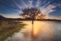 Sunset in a lake in Alava Royalty Free Stock Photo