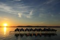 Sunset at Lake Balaton Royalty Free Stock Photo
