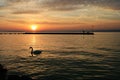 Sunset at Lake Balaton Royalty Free Stock Photo