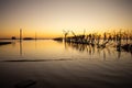 Sunset on Lake Epecuen. Dead trees submerged in salt water. Flooded city in Argentina