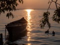 Sunset with ducklings on Lake Pleshcheyevo Royalty Free Stock Photo