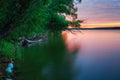 Sunset on a lake with a red evening sky, tree branches swaying in the wind, driftwood Royalty Free Stock Photo