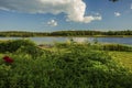 Sunset on the lake in Sweden. Beautiful mirror water surface view . Green nature colors and blue sky with white clouds. Royalty Free Stock Photo