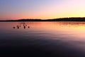 Sunset on the  Lake Washington, Seattle, USA Royalty Free Stock Photo