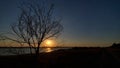 Tree silhouette in sunset over lake water Royalty Free Stock Photo