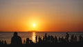 Sunset landscape. beach sunset. palm trees silhouette on sunset tropical beach