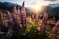 Sunset landscape of blooming purple and pink lupines in a meadow - AI Generated