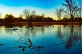 Sunset landscape with blue lake and ducks Royalty Free Stock Photo