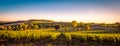 Sunset landscape bordeaux wineyard france Royalty Free Stock Photo