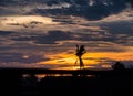 Sunset landscape Dark silhouettes of dead coconut tree,