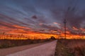 Sunset landscape with electric lying nuves yellow fire road Royalty Free Stock Photo