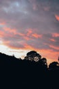 Sunset landscape in the forest near the Nevado de Toluca Volcano, the clouds are painted in reddish, violet, and orange colors.