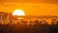 Sunset landscape in Kruger National park, South Africa Royalty Free Stock Photo