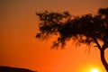 Sunset landscape of the Namib-Naukluft National Park Royalty Free Stock Photo