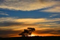 Sunset landscape of the Namib-Naukluft National Park Royalty Free Stock Photo