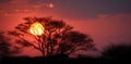 Sunset landscape of the Namib-Naukluft National Park Royalty Free Stock Photo