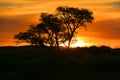 Sunset landscape of the Namib-Naukluft National Park Royalty Free Stock Photo