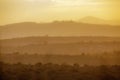 Kruger National park, South Africa Royalty Free Stock Photo