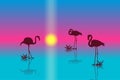 Sunset landscape with silhouettes of flamingos