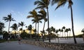 Sunset landscape of walking path at Miami beach with palm trees palm trees Royalty Free Stock Photo