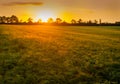 sunset landscape on wheat field sun rays glare