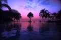 Sunset landscape wiht palm Royalty Free Stock Photo