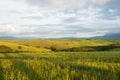 Sunset landscapes over the green grassland and rolling hills in Tuscany Royalty Free Stock Photo