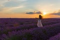 Sunset on the lavender fields Royalty Free Stock Photo