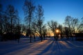 Sunset through leafless trees in winter