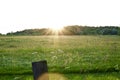 Sunset lens flare over a meadow Royalty Free Stock Photo