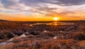 Sunset at Liberty Loop marsh in late winter Royalty Free Stock Photo