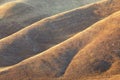 Sunset light Colored California Golden Hills Royalty Free Stock Photo