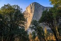 Sunset Light Through the Trees on El Capitan in Fall, Yosemite National Park, California Royalty Free Stock Photo