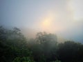Sunset light fog in the forest mountain