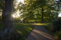 Sunset Light Gives Dappled Effect On Sheffield Botanical Garden Path