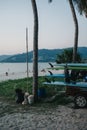 Sunset light hitting a set of surf boards in Patong Beach, Phuket, Thailand Royalty Free Stock Photo