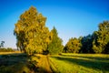 Summer landscape - tiny road and blue sky