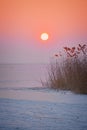 Sunset light over the frozen lake Balaton in Hungary Royalty Free Stock Photo