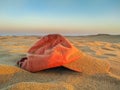 sunset light of a red cap abandoned or forgotten on the brown sand of dune of the desert by a tourist person on holidays. The wind