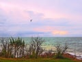 Sunset like a dazzling picture at Nightcliff beach, Darwin NT Australia Royalty Free Stock Photo