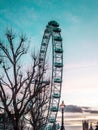 Sunset at the London's Eye, England Royalty Free Stock Photo