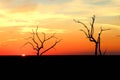 Sunset in the Louisiana Marsh Royalty Free Stock Photo