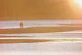 Sunset lovers walking Royalty Free Stock Photo