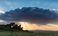 Sunset at Maasai Kopjes in the Serengeti, Tanzania Royalty Free Stock Photo