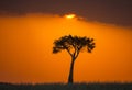 Sunset in the Maasai Mara National Park. Africa. Kenya. Royalty Free Stock Photo