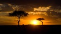 Sunset in the Maasai Mara National Park. Africa. Kenya. Royalty Free Stock Photo