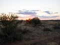 Sunset in Madikwe Game Reserve, South Africa