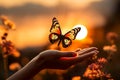 Sunset magic butterfly delicately perched on a womans hand
