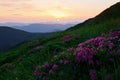 At sunset. Majestic Carpathian mountains. Beautiful landscape. Breathtaking view Royalty Free Stock Photo