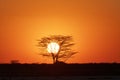 Sunset on the Makgadikgadi Salt Pans Royalty Free Stock Photo